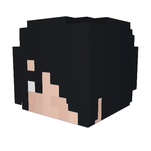 Porrelho Minecraft avatar head, 3D render
