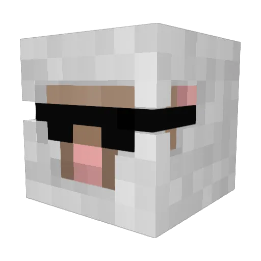 Porrgg Minecraft avatar head, 3D render