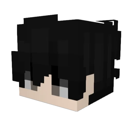 Porry1 Minecraft avatar head, 3D render