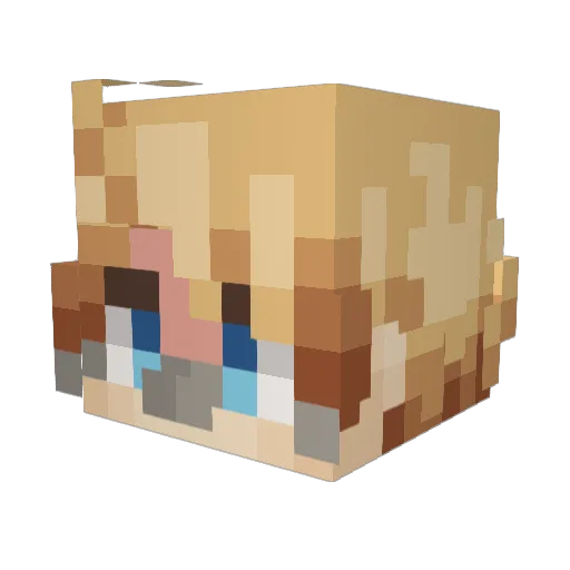 PortFOBlife Minecraft avatar head, 3D render