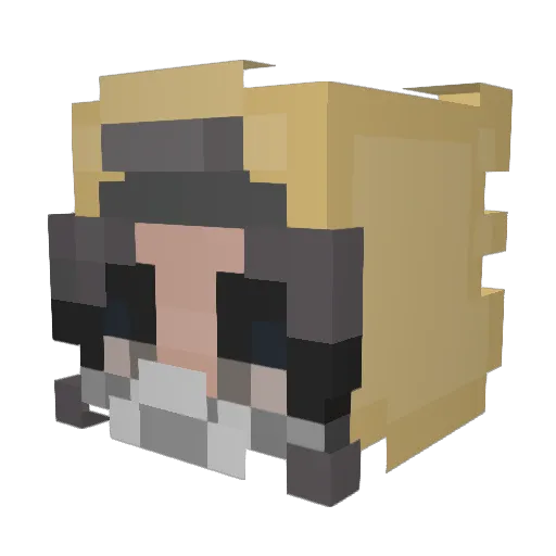 PortablePro Minecraft avatar head, 3D render