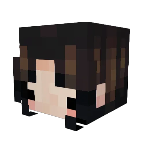 Portal2TheGame Minecraft avatar head, 3D render