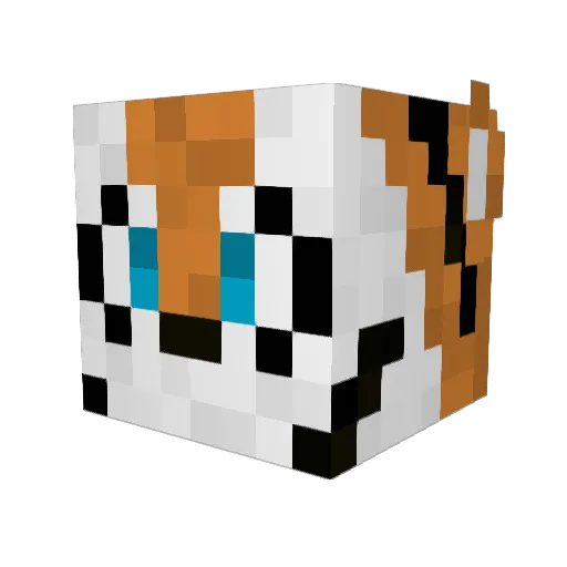 PortalBlack22 Minecraft avatar head, 3D render