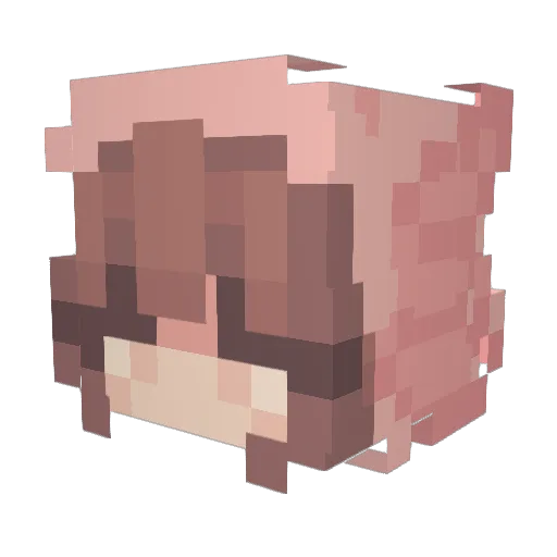 PortalGuy_24 Minecraft avatar head, 3D render