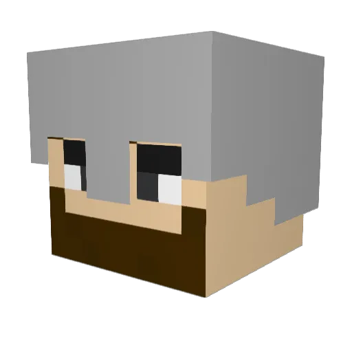 PorteVapeur8625 Minecraft avatar head, 3D render