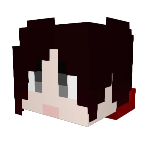 PorterTurtle Minecraft avatar head, 3D render