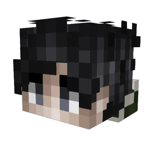 PortlyAssassin Minecraft avatar head, 3D render