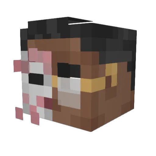 Portu09 Minecraft avatar head, 3D render