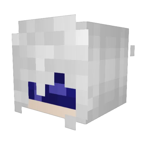 Poruasecas Minecraft avatar head, 3D render