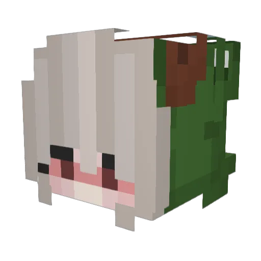 Porydash Minecraft avatar head, 3D render