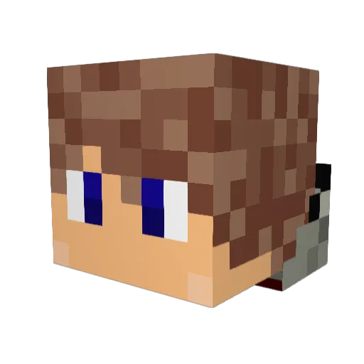 Pose1d0n Minecraft avatar head, 3D render