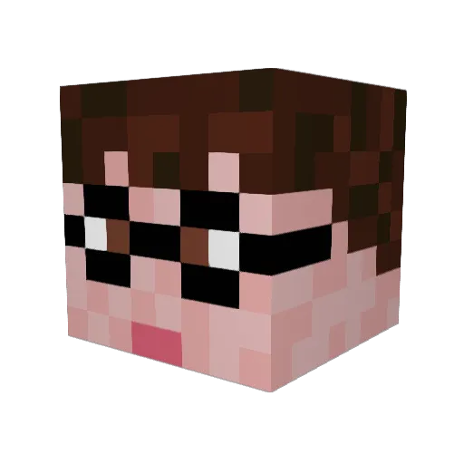 Poseidon2420 Minecraft avatar head, 3D render