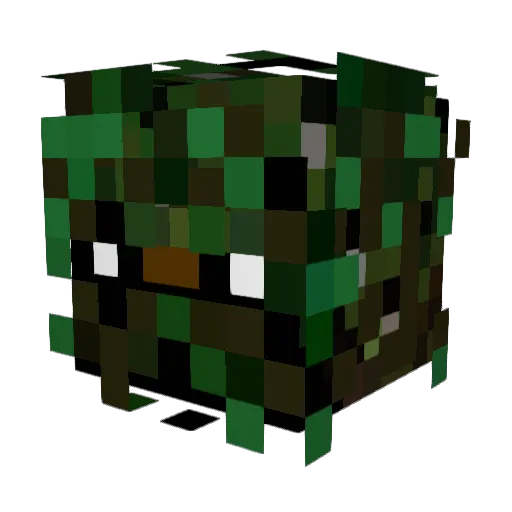 Poseidon2685 Minecraft avatar head, 3D render