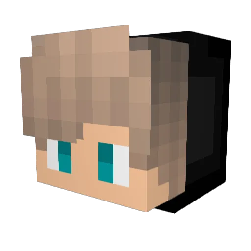 Poseidon4215 Minecraft avatar head, 3D render