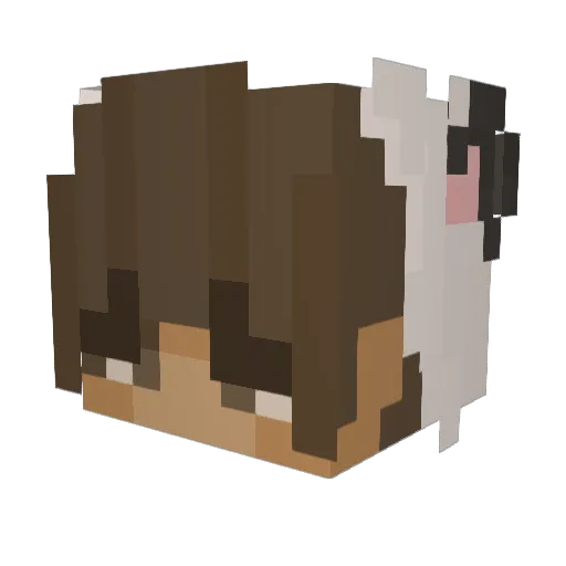 Poseidon9299 Minecraft avatar head, 3D render