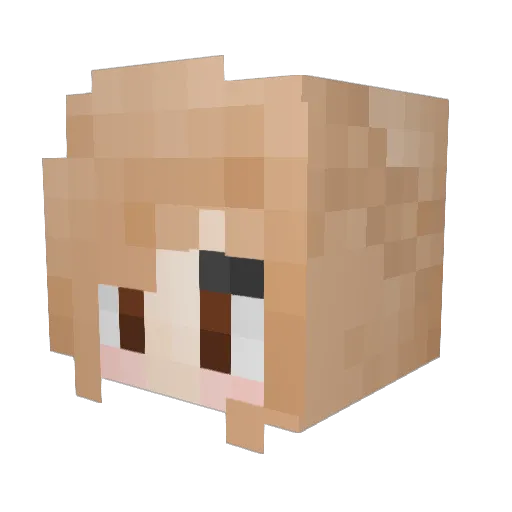 PoshPotato216 Minecraft avatar head, 3D render