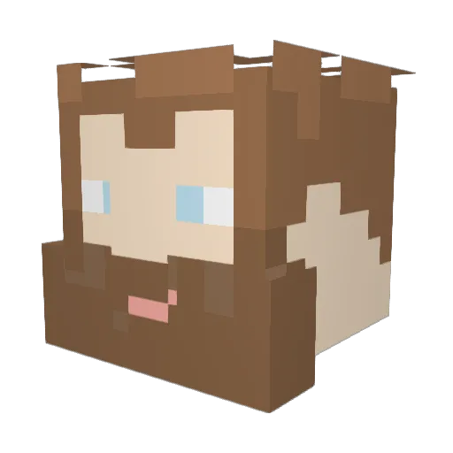 Posi1337 Minecraft avatar head, 3D render