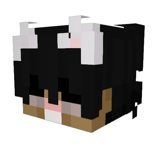 Positions111 Minecraft avatar head, 3D render