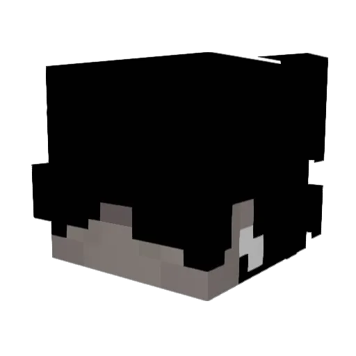 Positivists Minecraft avatar head, 3D render