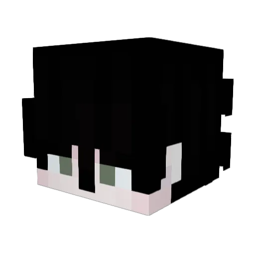 Positivity Minecraft avatar head, 3D render