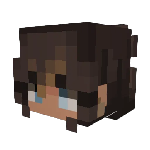 Poskuns Minecraft avatar head, 3D render