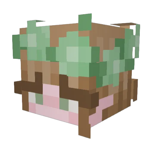 Possible_Lemon Minecraft avatar head, 3D render