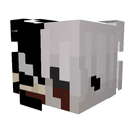 Possible_Rockets Minecraft avatar head, 3D render