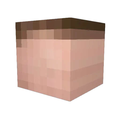 PossiblyJoel Minecraft avatar head, 3D render