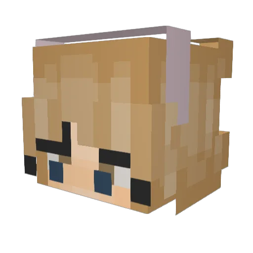 Possibly_Brooke Minecraft avatar head, 3D render