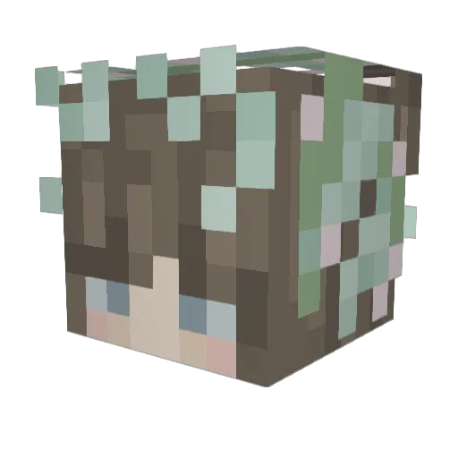 Possum2970 Minecraft avatar head, 3D render