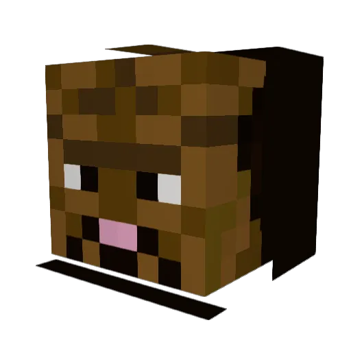 Possumcatcher Minecraft avatar head, 3D render