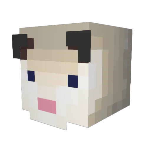 Possumlatte Minecraft avatar head, 3D render