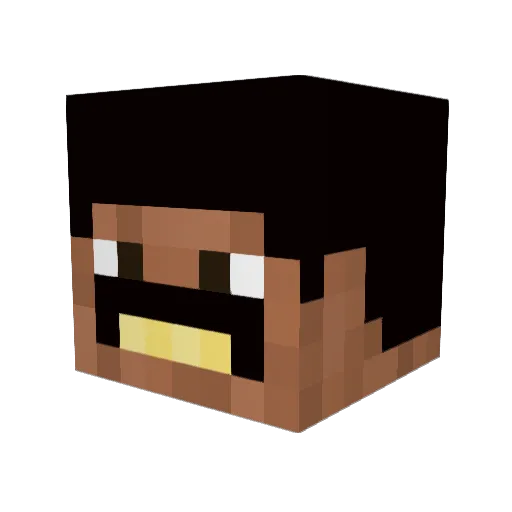 PostalPatriot556 Minecraft avatar head, 3D render