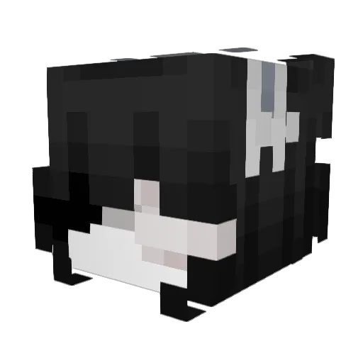 PotFastLfangirl Minecraft avatar head, 3D render