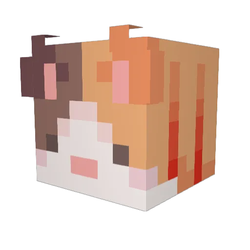 PotNoodle03 Minecraft avatar head, 3D render