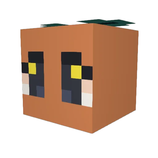 Pot_Lee Minecraft avatar head, 3D render