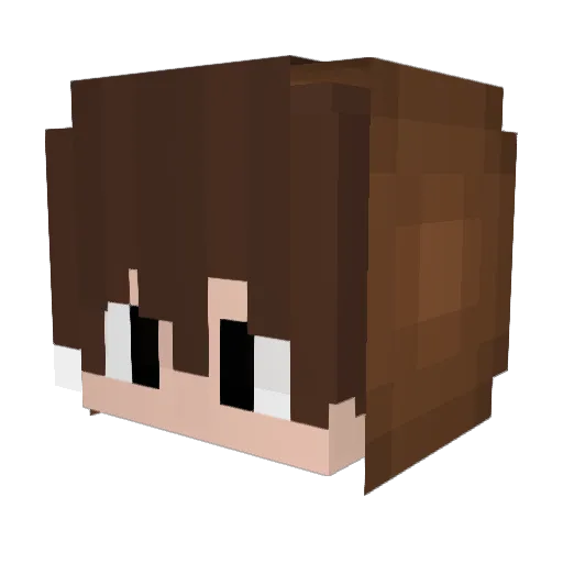 Pot_Nutella Minecraft avatar head, 3D render