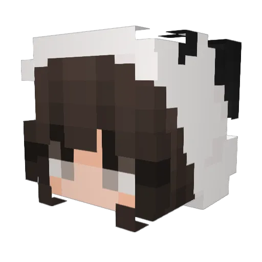 Potato020 Minecraft avatar head, 3D render