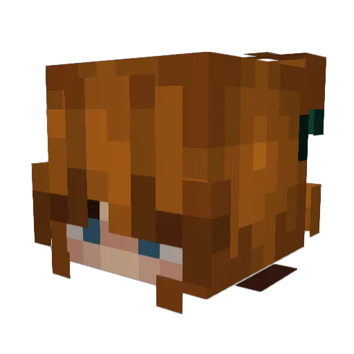 Potato4542 Minecraft avatar head, 3D render