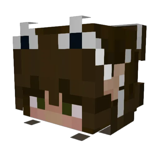Potato6484 Minecraft avatar head, 3D render