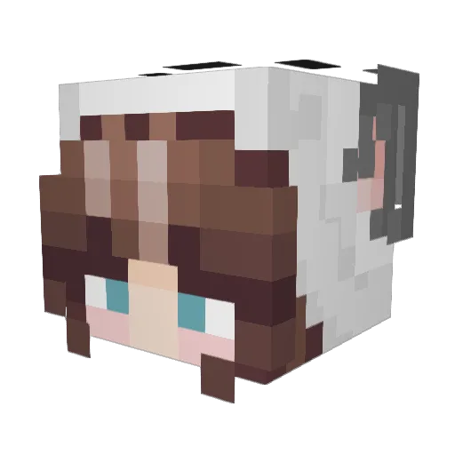 PotatoBaybee Minecraft avatar head, 3D render