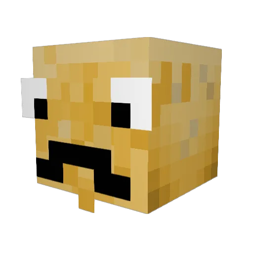 PotatoBoy17 Minecraft avatar head, 3D render