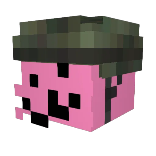 PotatoC4t Minecraft avatar head, 3D render