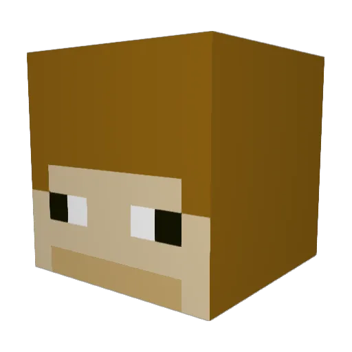 PotatoCat000 Minecraft avatar head, 3D render