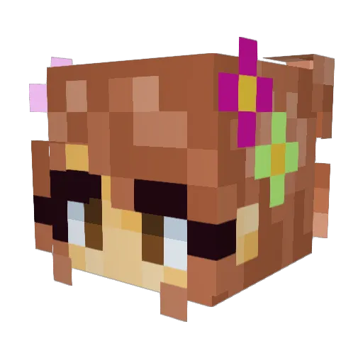 PotatoChan2002 Minecraft avatar head, 3D render
