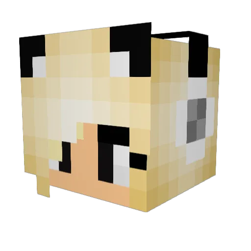 PotatoChipSA Minecraft avatar head, 3D render