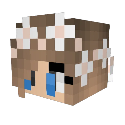 PotatoFace1999 Minecraft avatar head, 3D render