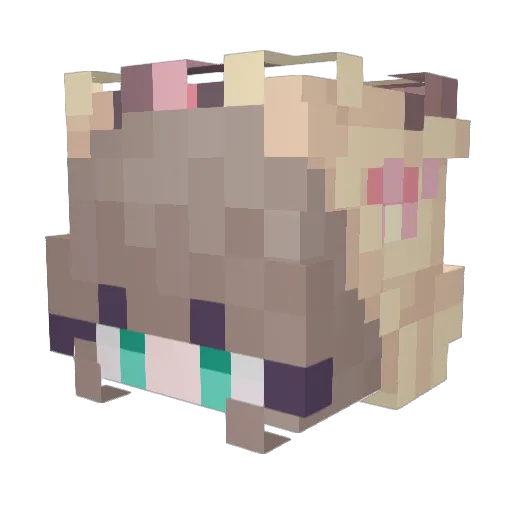 PotatoFurr Minecraft avatar head, 3D render
