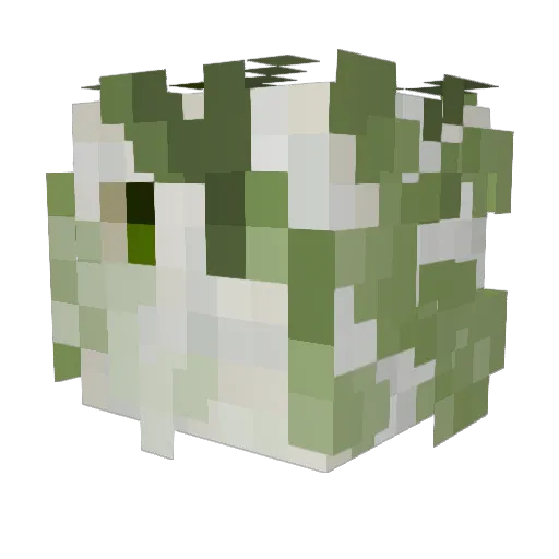PotatoGod696969 Minecraft avatar head, 3D render