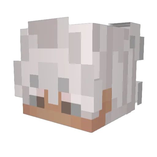 PotatoGuy420 Minecraft avatar head, 3D render